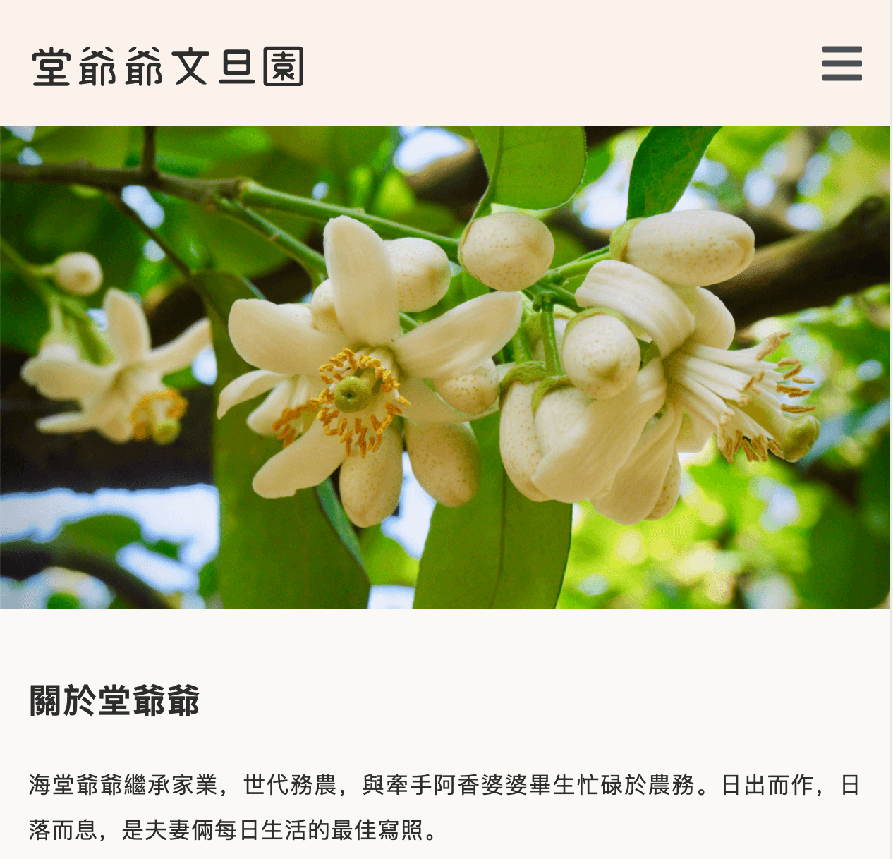 Image of project